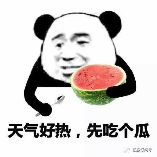 怎么回复吃瓜的表情,揭秘吃瓜群众背后的趣味与智慧