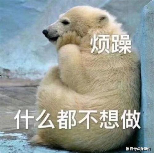 吃瓜群众图片动态